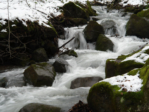 Foto Cheile Danesti (c) Petru Goja